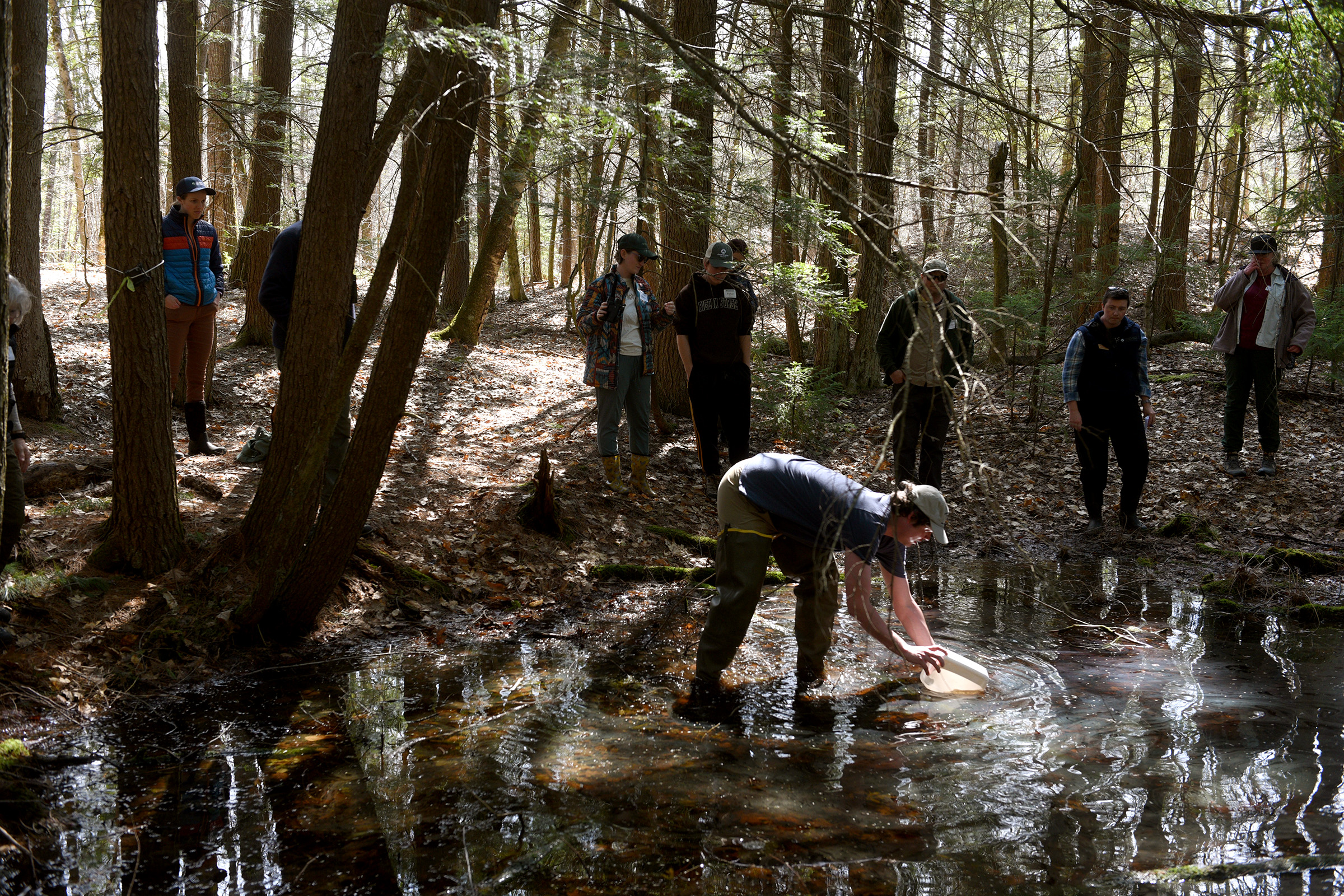 Vermont environmental groups say proposed rules threaten wetlands