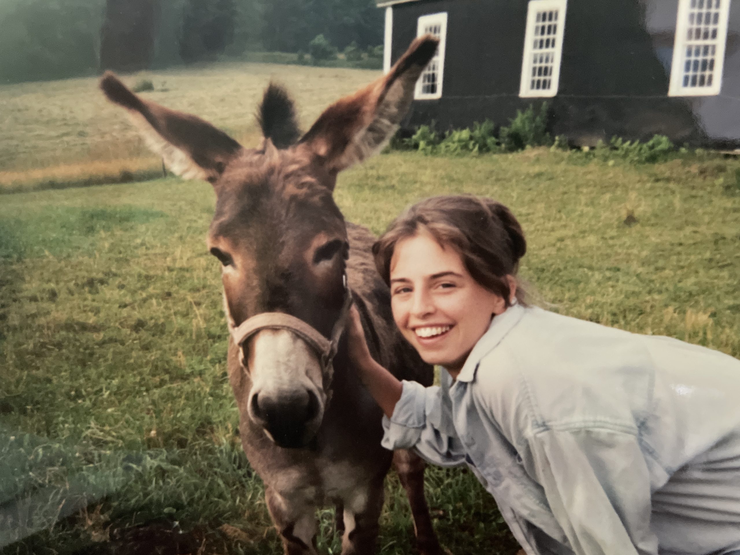 Art Notes: Woodstock show of late artist’s work brings nature to life